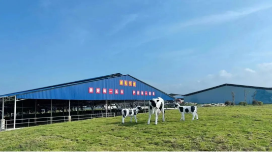 奶源建設(shè)再提速！田東縣皇氏奶業(yè)示范區(qū)正式投產(chǎn)！