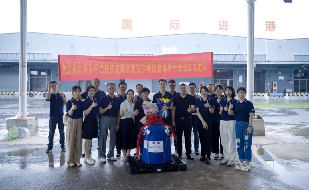 重磅！全國(guó)首批5000枚進(jìn)口巴基斯坦優(yōu)質(zhì)奶水牛胚胎入境，第一時(shí)間落戶皇氏集團(tuán)投入奶水牛改良繁育生產(chǎn)